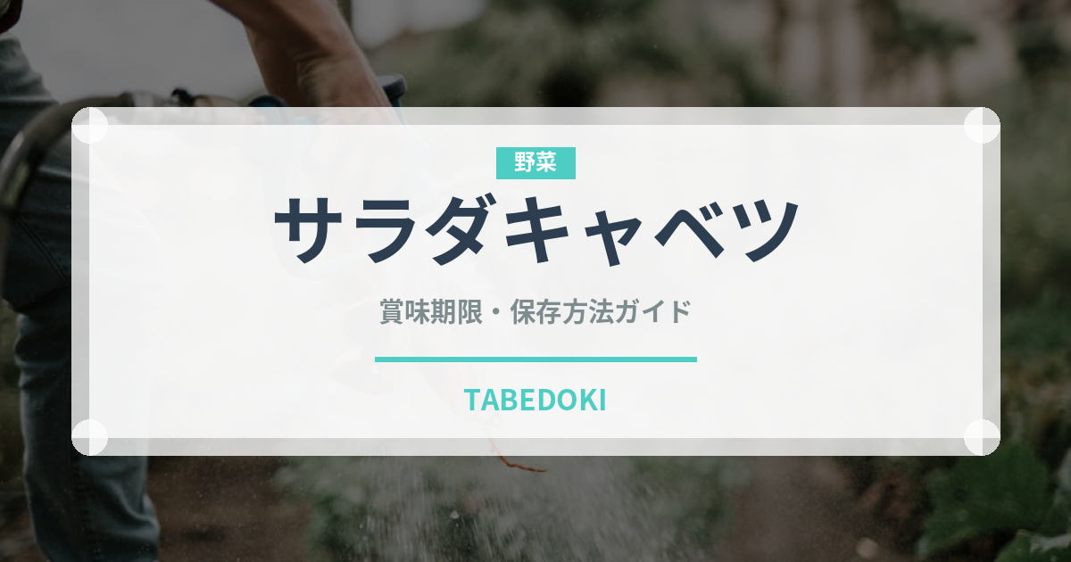 サラダキャベツ（野菜品種）の賞味期限と正しい保存方法｜鮮度を長持ちさせるコツ