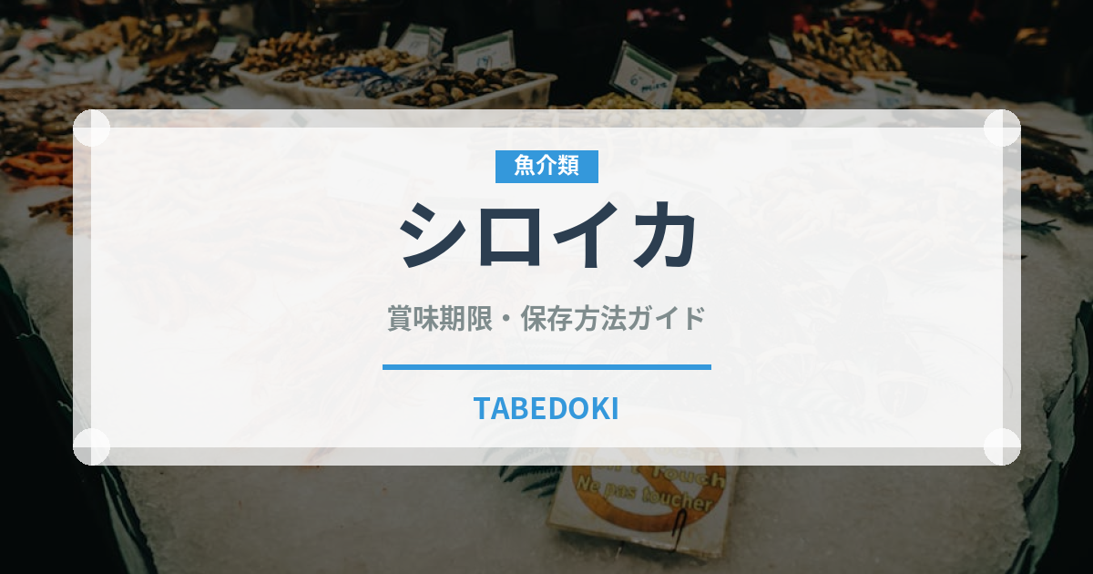 シロイカ（甲殻類）の賞味期限と正しい保存方法｜鮮度を長持ちさせるコツ