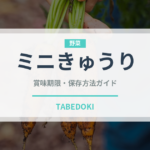 ミニきゅうり（野菜）の賞味期限と正しい保存方法