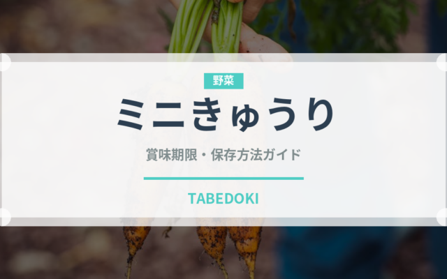 ミニきゅうり（野菜）の賞味期限と正しい保存方法