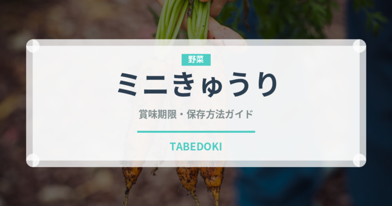 ミニきゅうり（野菜）の賞味期限と正しい保存方法