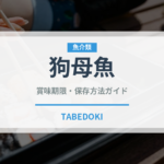 狗母魚（珍しい魚）の賞味期限と正しい保存方法｜鮮度を長持ちさせるコツ