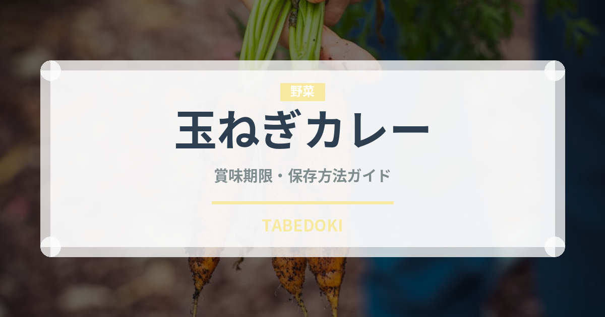 玉ねぎカレー（インド・南アジア料理）の賞味期限と正しい保存方法｜長持ちさせるコツ