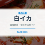 白イカ（魚介類）の賞味期限と正しい保存方法｜鮮度を長持ちさせるコツ