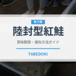 陸封型紅鮭（鮭・鱒類）の賞味期限と正しい保存方法