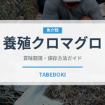 養殖クロマグロ（魚類）の賞味期限と正しい保存方法