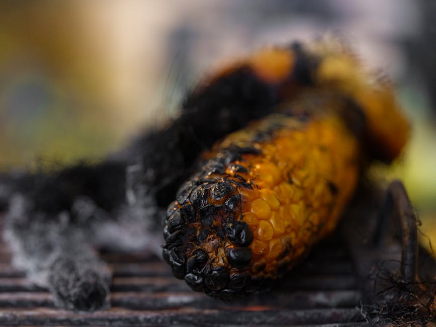 お弁当 夏場 対策のイメージ（1）