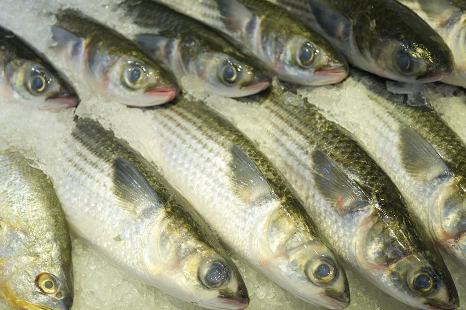 釣った魚 保存のイメージ（3）